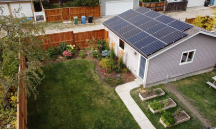 Harnessing Solar in Calgary